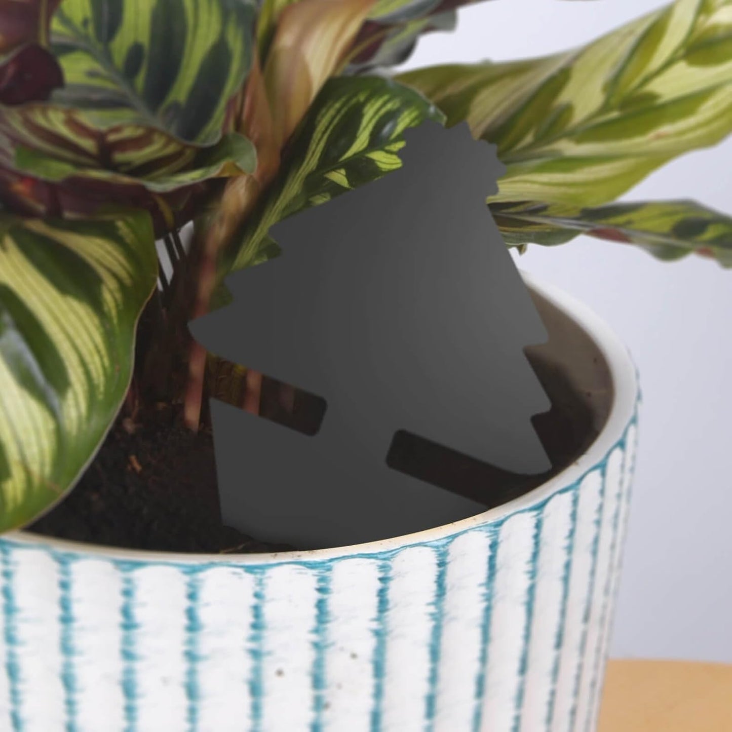 Blooven 30 szt. pułapek na owady, przeciw muszkom wewnętrznym, pułapki samozaciskowe, wodoodporne, ochrona roślin kwiatowych (Czarny 30 sztuk) - PuffoShop