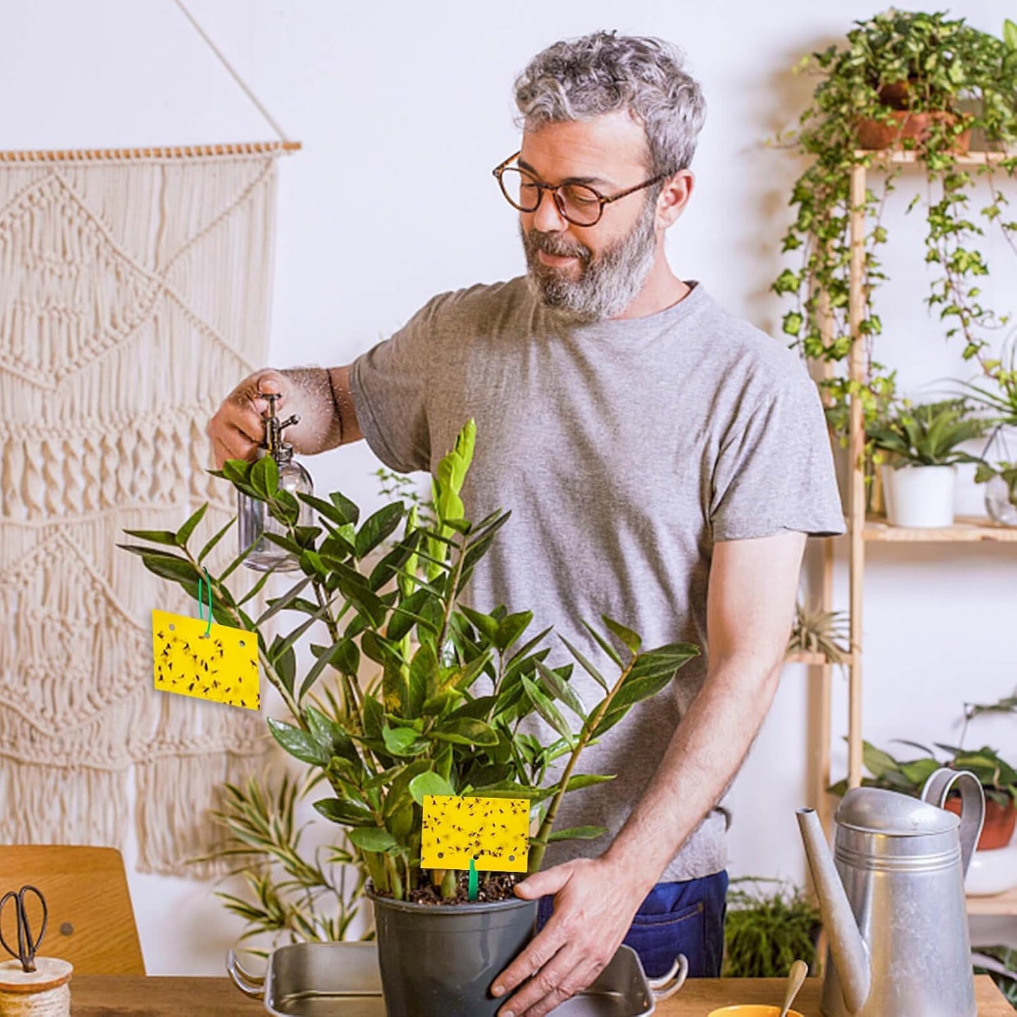 Blooven 30 szt. pułapek na owady, przeciw muszkom wewnętrznym, pułapki samozaciskowe, wodoodporne, ochrona roślin kwiatowych (Czarny 30 sztuk) - PuffoShop