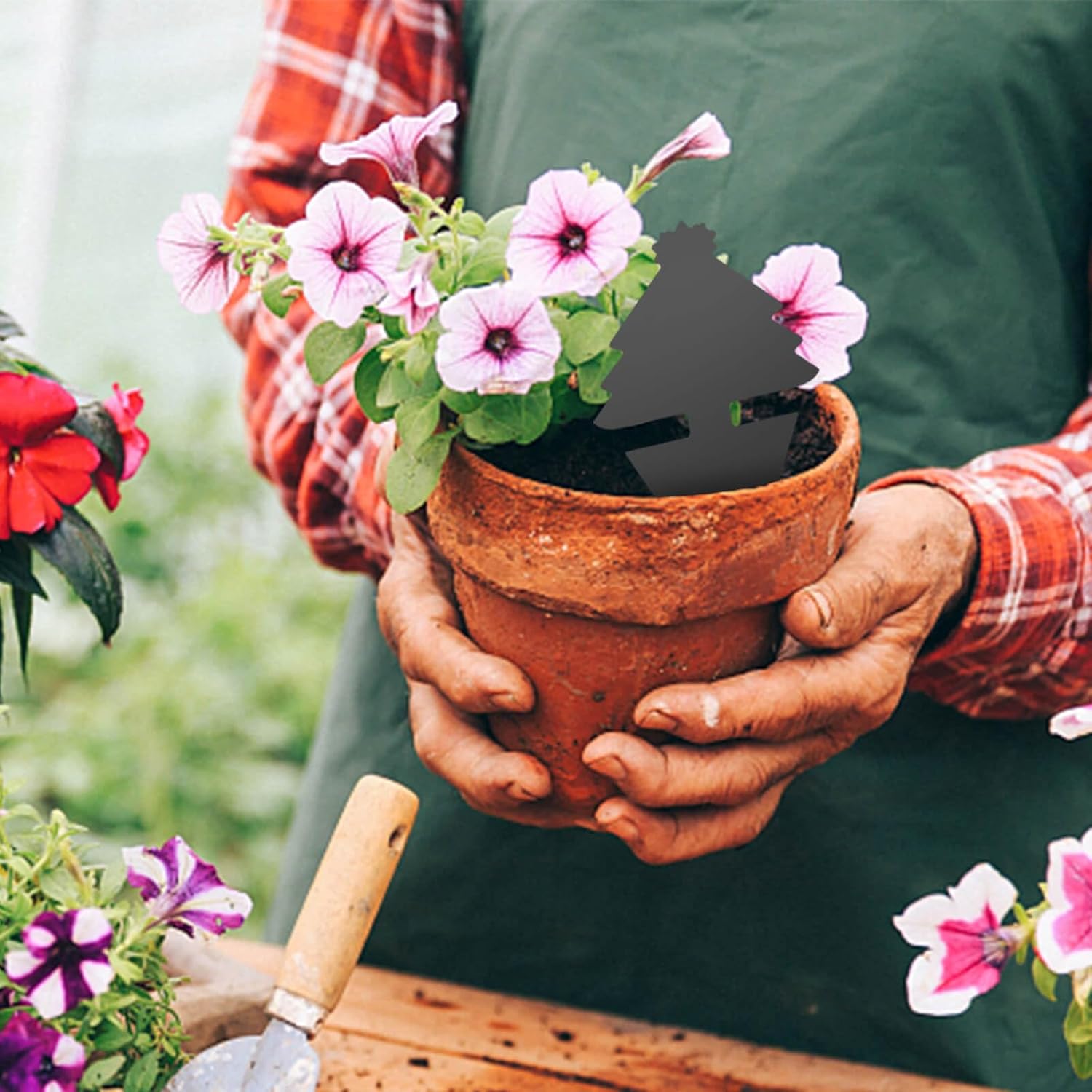 Blooven 30 szt. pułapek na owady, przeciw muszkom wewnętrznym, pułapki samozaciskowe, wodoodporne, ochrona roślin kwiatowych (Czarny 30 sztuk) - PuffoShop