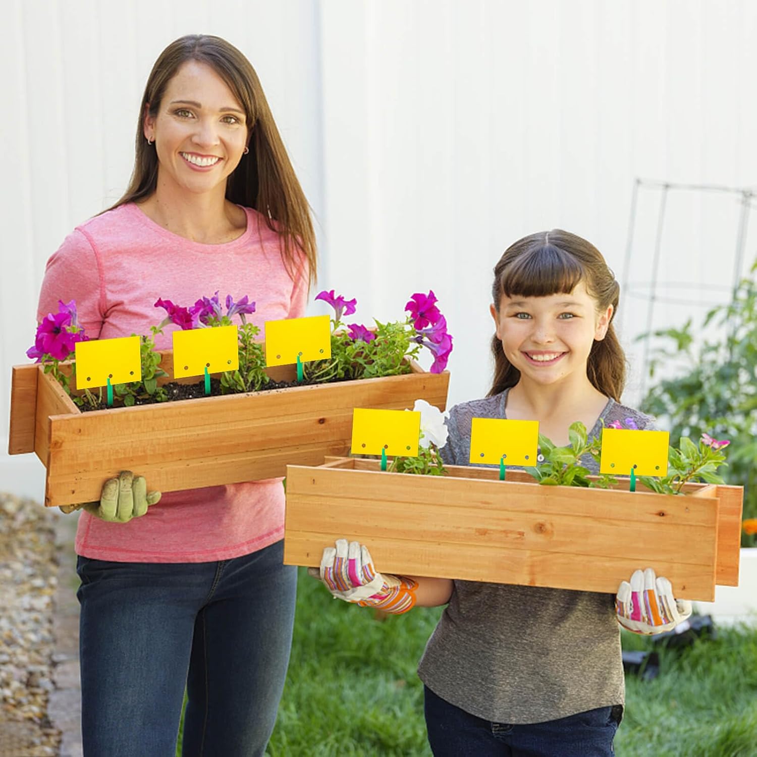 Blooven 30 szt. pułapek na owady, przeciw muszkom wewnętrznym, pułapki samozaciskowe, wodoodporne, ochrona roślin kwiatowych (Czarny 30 sztuk) - PuffoShop