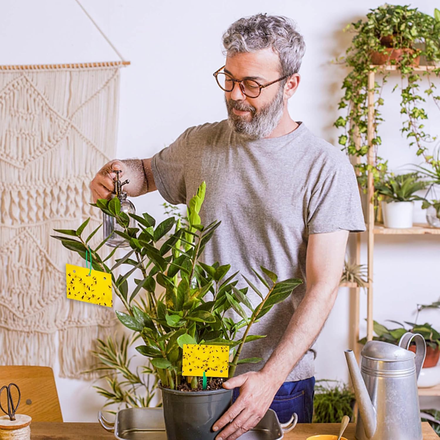 Blooven 30 szt. pułapek na owady, przeciw muszkom wewnętrznym, pułapki samozaciskowe, wodoodporne, ochrona roślin kwiatowych (Czarny 30 sztuk) - PuffoShop